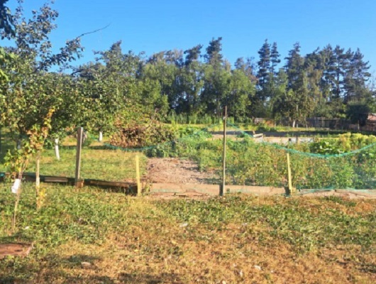 Rodinný dům, Mikolajice