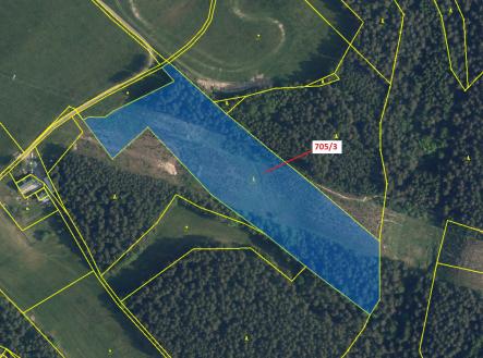 Prodej - pozemek, les, 27 787 m²