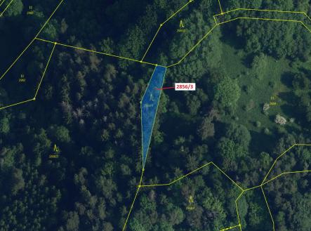 Prodej - pozemek, les, 448 m²