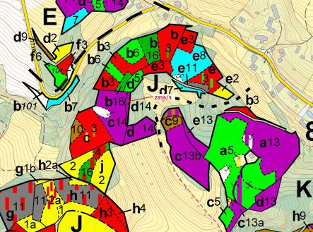 Prodej - pozemek, les, 448 m²