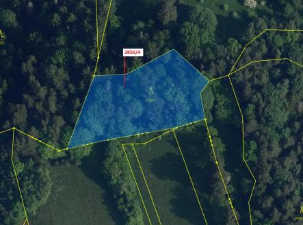 Prodej - pozemek, les, 2 709 m²