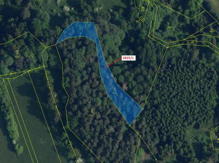 Prodej - pozemek, les, 2 117 m²