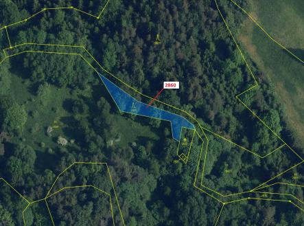 Prodej - pozemek, les, 662 m²