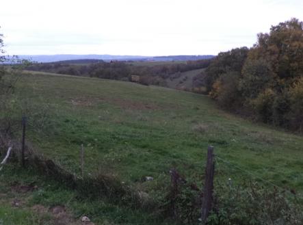 Prodej - pozemek, trvalý travní porost, 1 707 m²