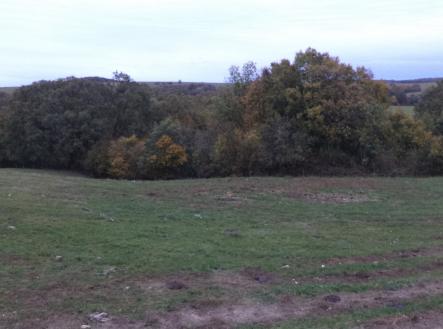 Prodej - pozemek, trvalý travní porost, 1 707 m²