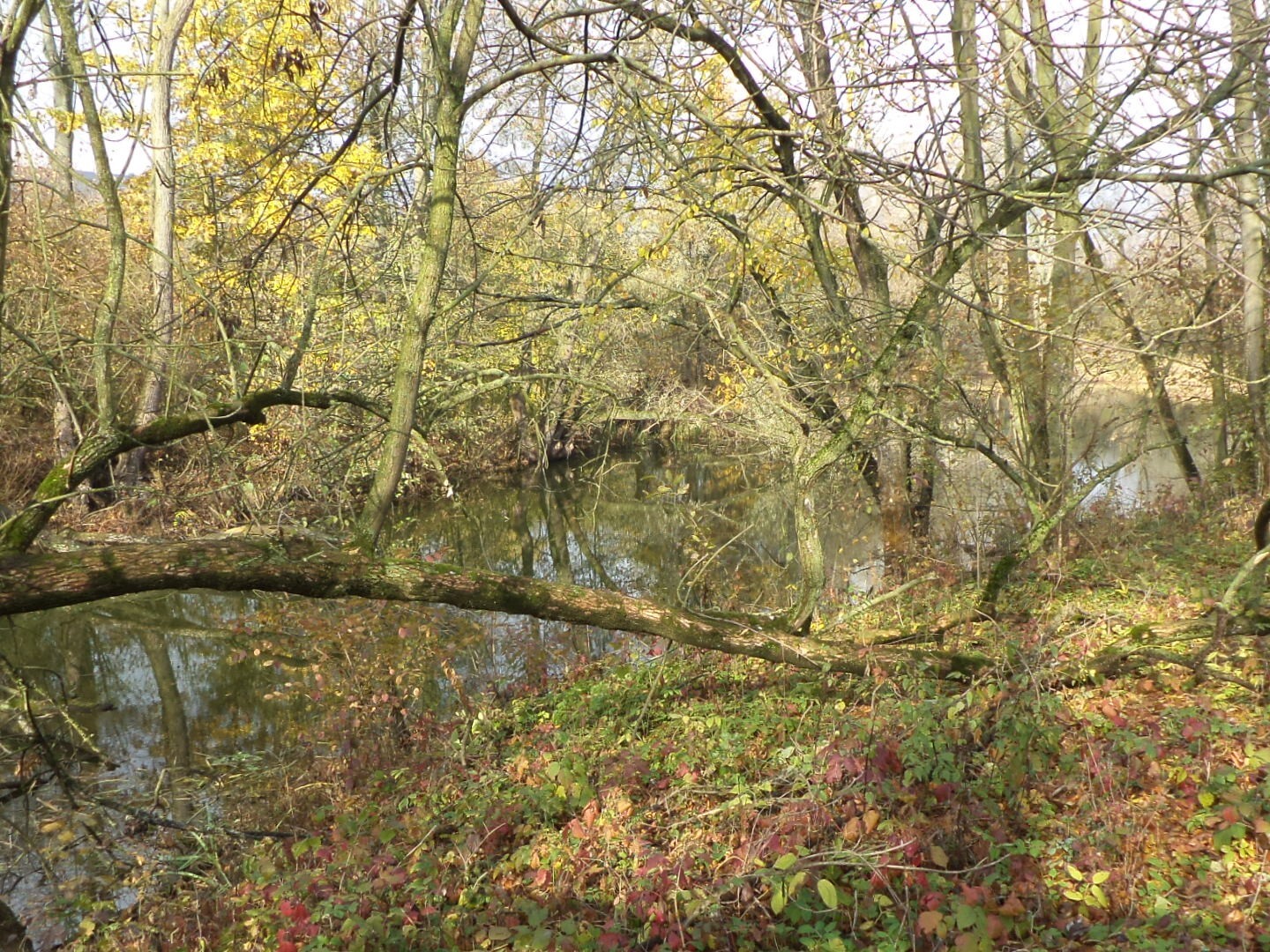 Pozemek o výměře 810 m2, Otrokovice