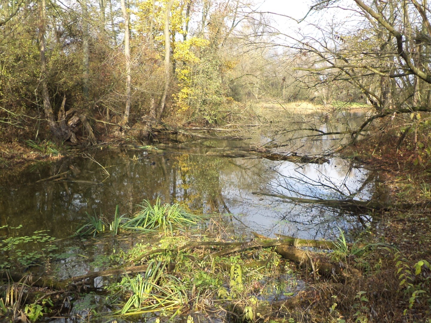 Pozemek o výměře 810 m2, Otrokovice