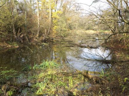 Prodej - pozemek, ostatní, 810 m²