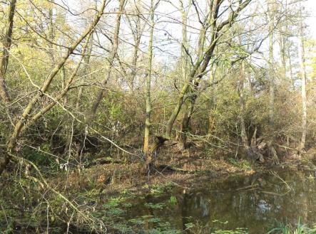 Prodej - pozemek, ostatní, 810 m²