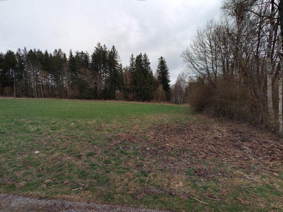 Pozemek o výměře 2986 m2, Černá v Pošumaví