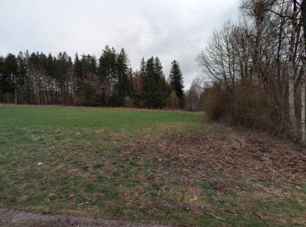 Prodej - pozemek, trvalý travní porost, 2 986 m²