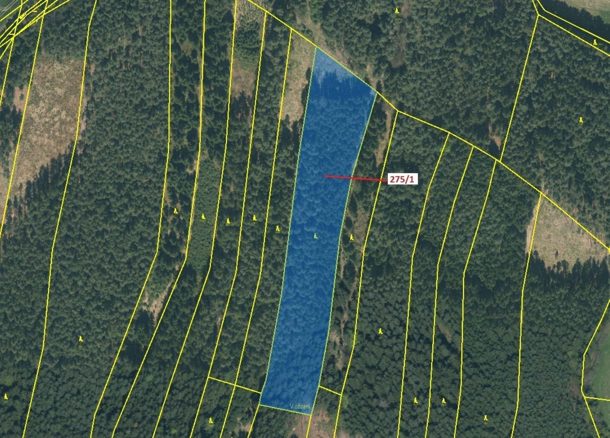 Lesní pozemek o výměře 15 717 m2, podíl 1/1, katastrální území Tříklasovice, obec Psárov, obec s roz