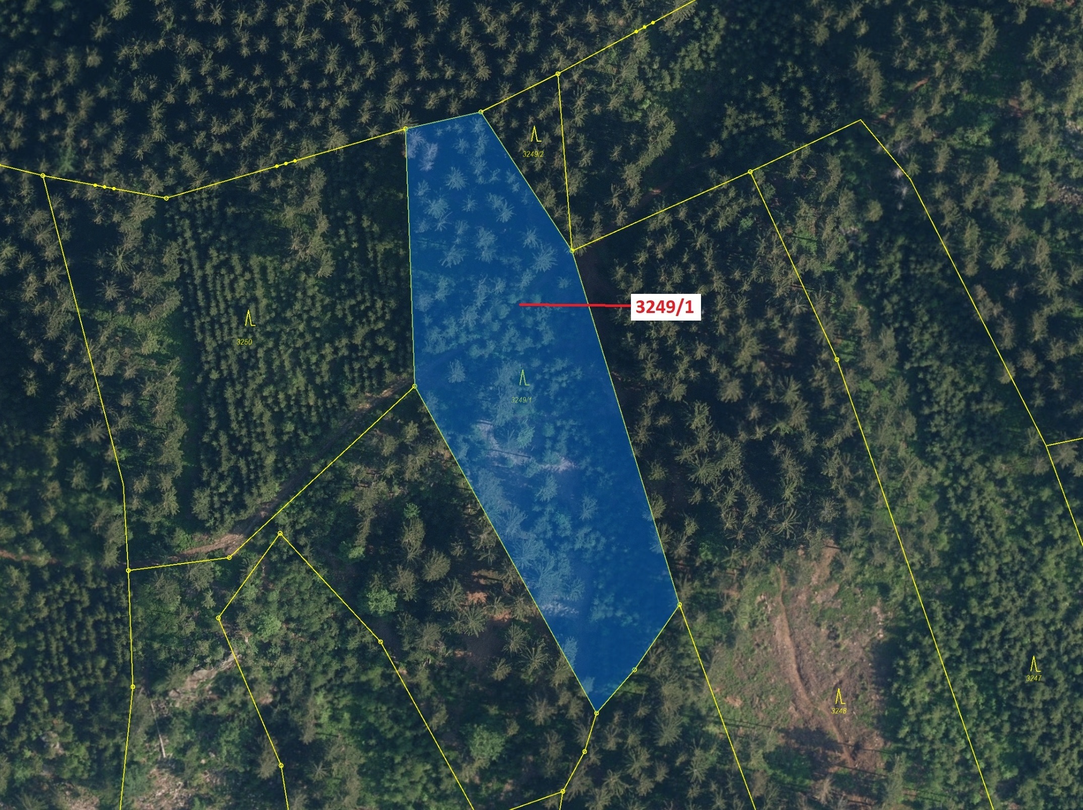 Lesní pozemek o výměře 5995 m2, podíl 1/1, katastrální území Velké Hamry, obec Velké Hamry, obec s r