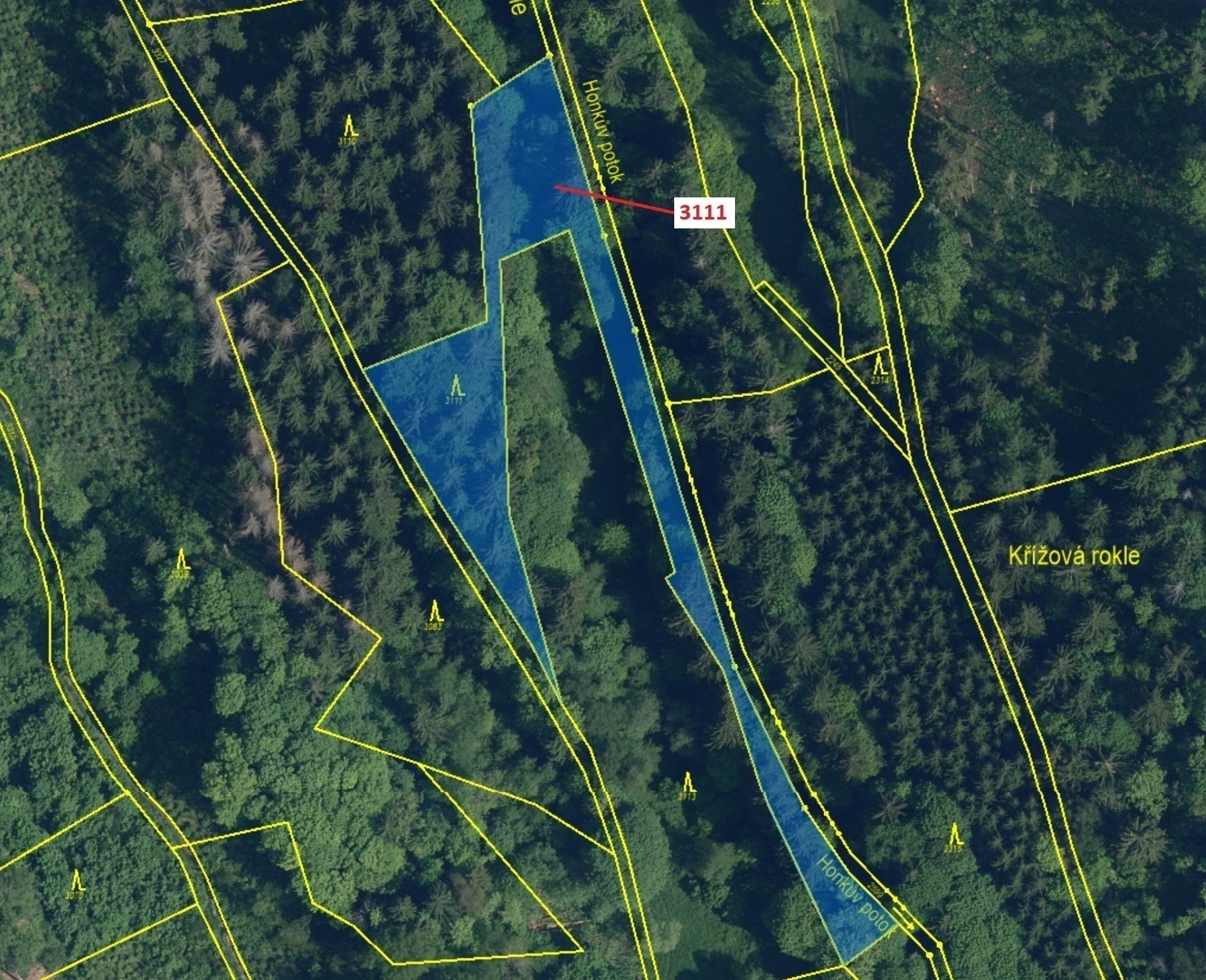 Lesní pozemek o výměře 2 958 m2, podíl 1/1, katastrální území Benešov u Semil, obec Benešov u Semil,