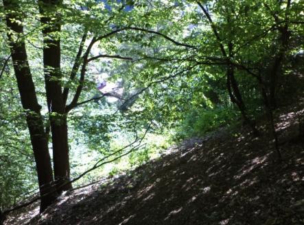 Prodej - pozemek, trvalý travní porost, 675 m²