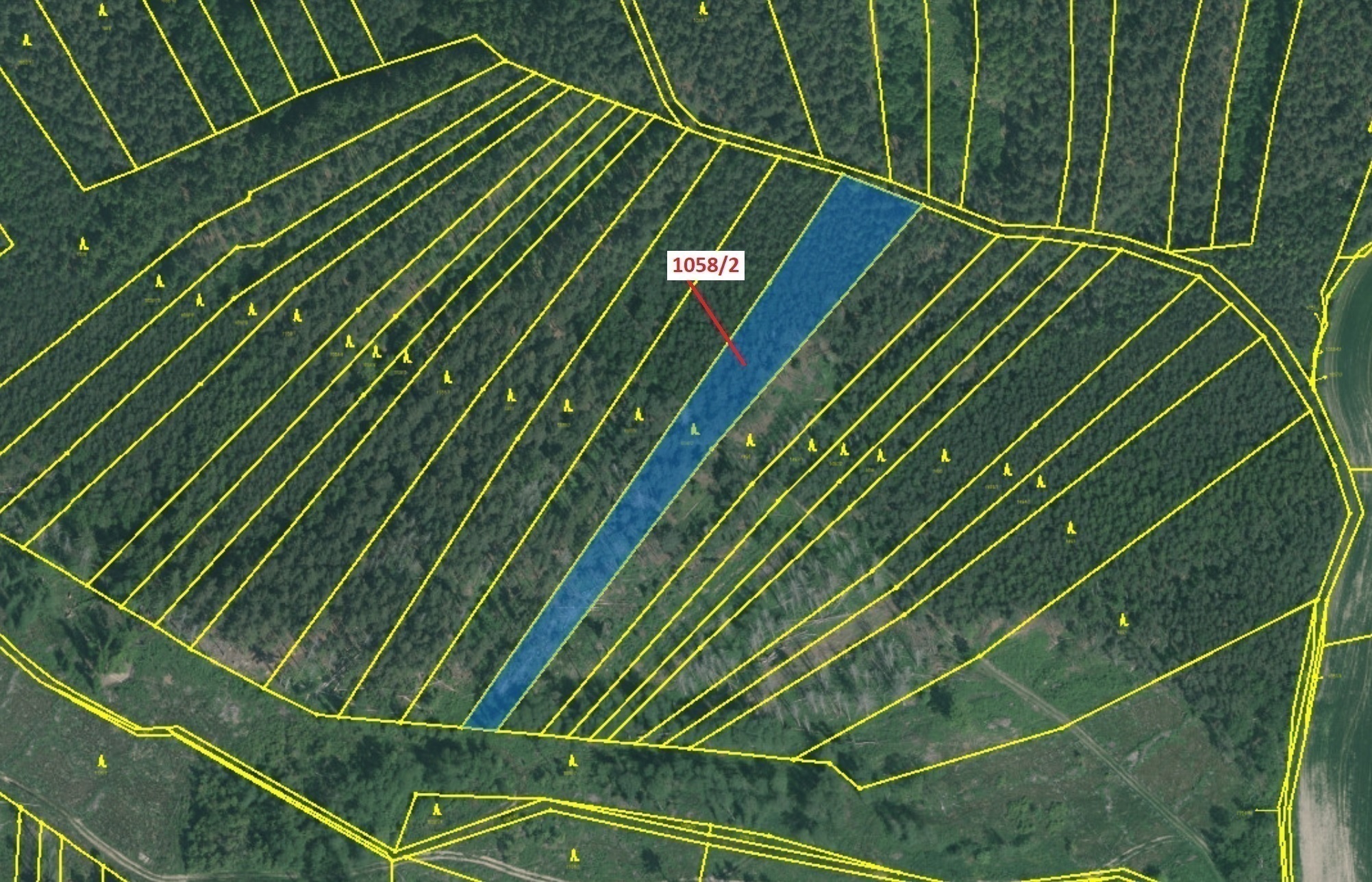 Lesní pozemek o výměře 5 152 m2, podíl 1/1, katastrální území Radonice u Milavčí, obec Milavče, obec