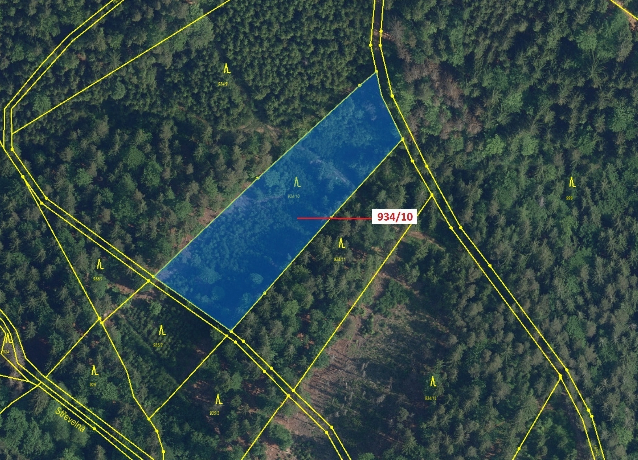 Lesní pozemek o výměře 4 305 m2, podíl 1/1, katastrální území Jílové u Držkova, obec Jílové u Držkov