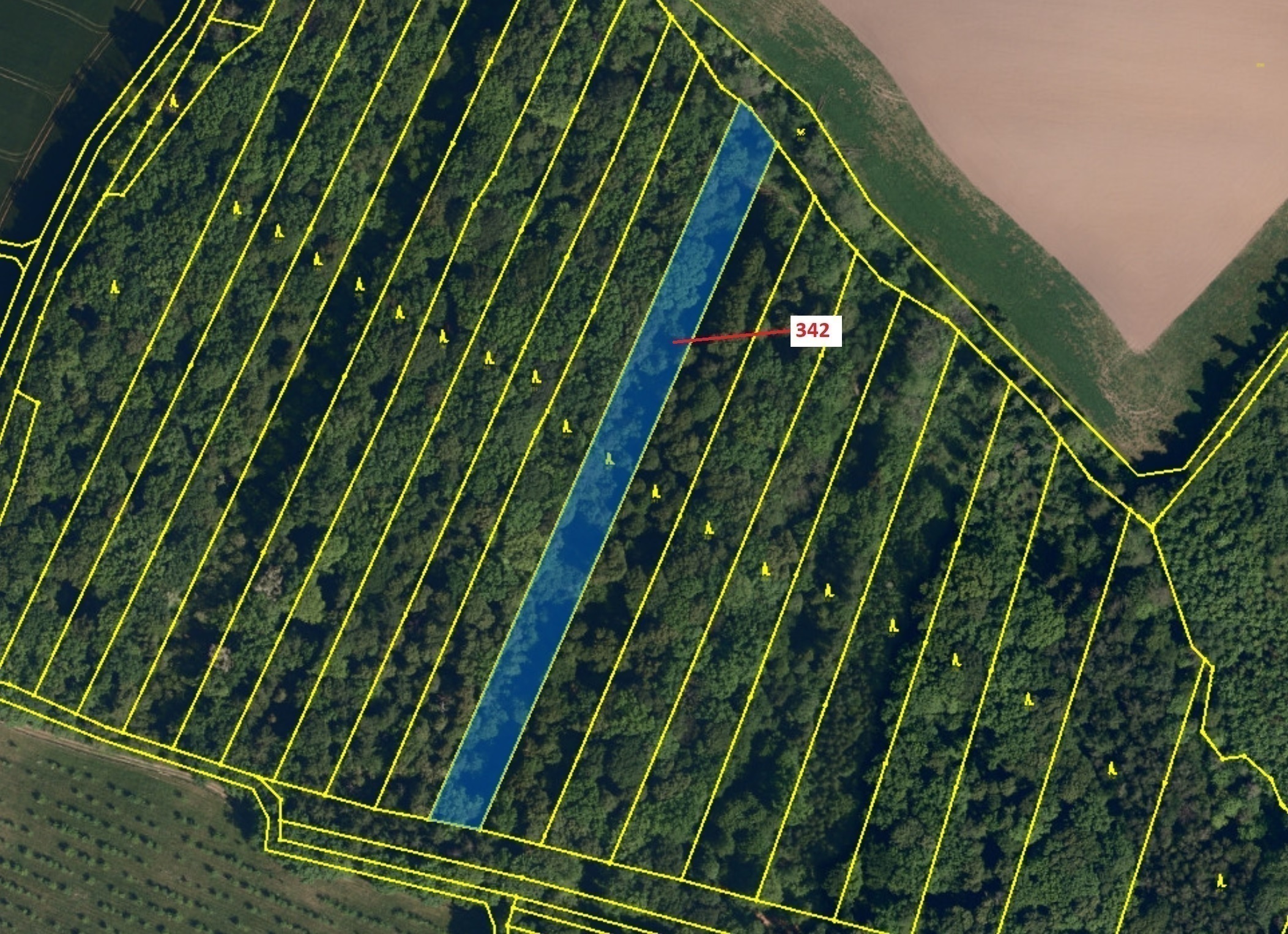 Lesní pozemek o výměře 5428 m2, podíl 1/1, katastrální území Hradčany na Moravě, obec Hradčany, obec