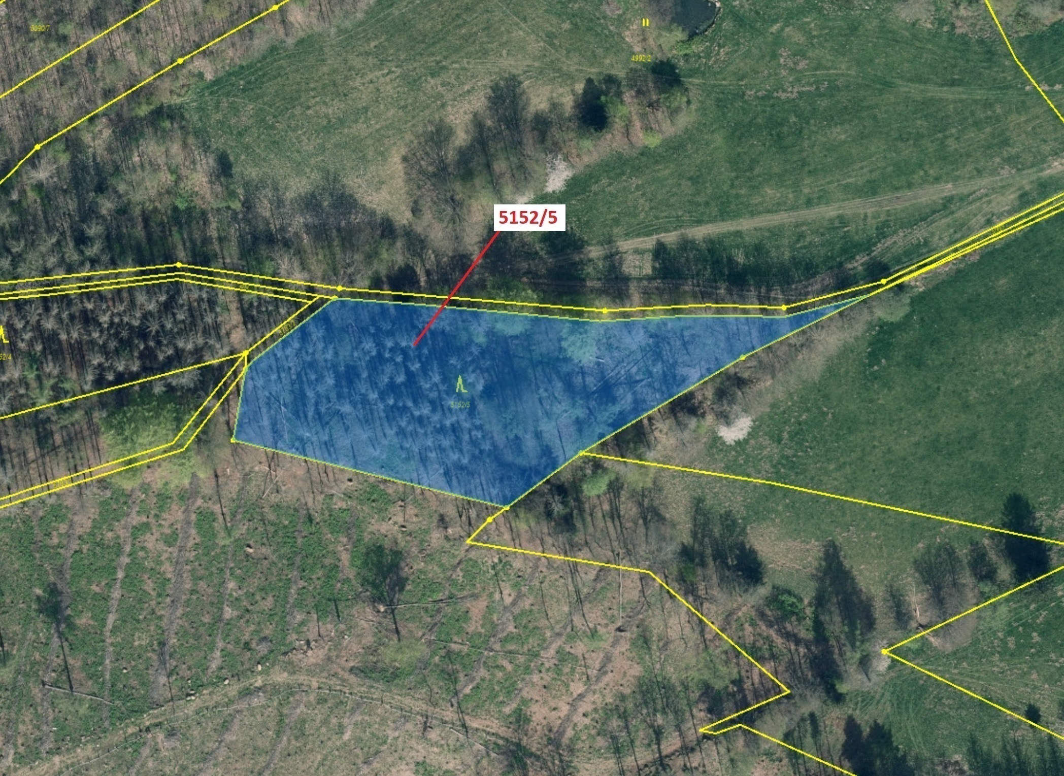 Lesní pozemek o výměře 4 741 m2, podíl 1/1, katastrální území Mikulášovice, obec Mikulášovice, obec 