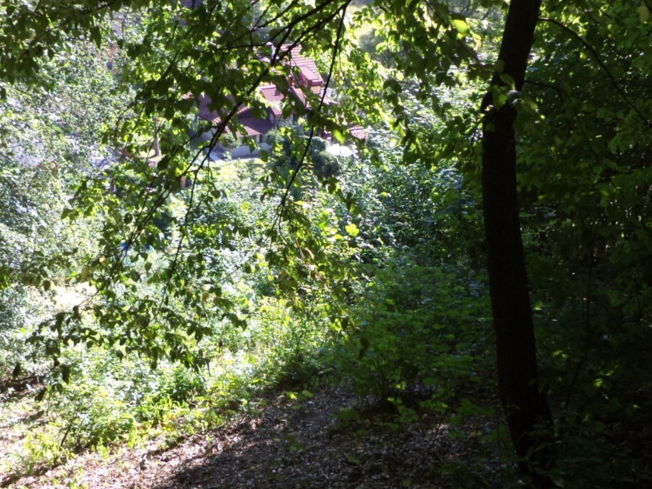 Pozemek o výměře 1210 m2, Krsmol