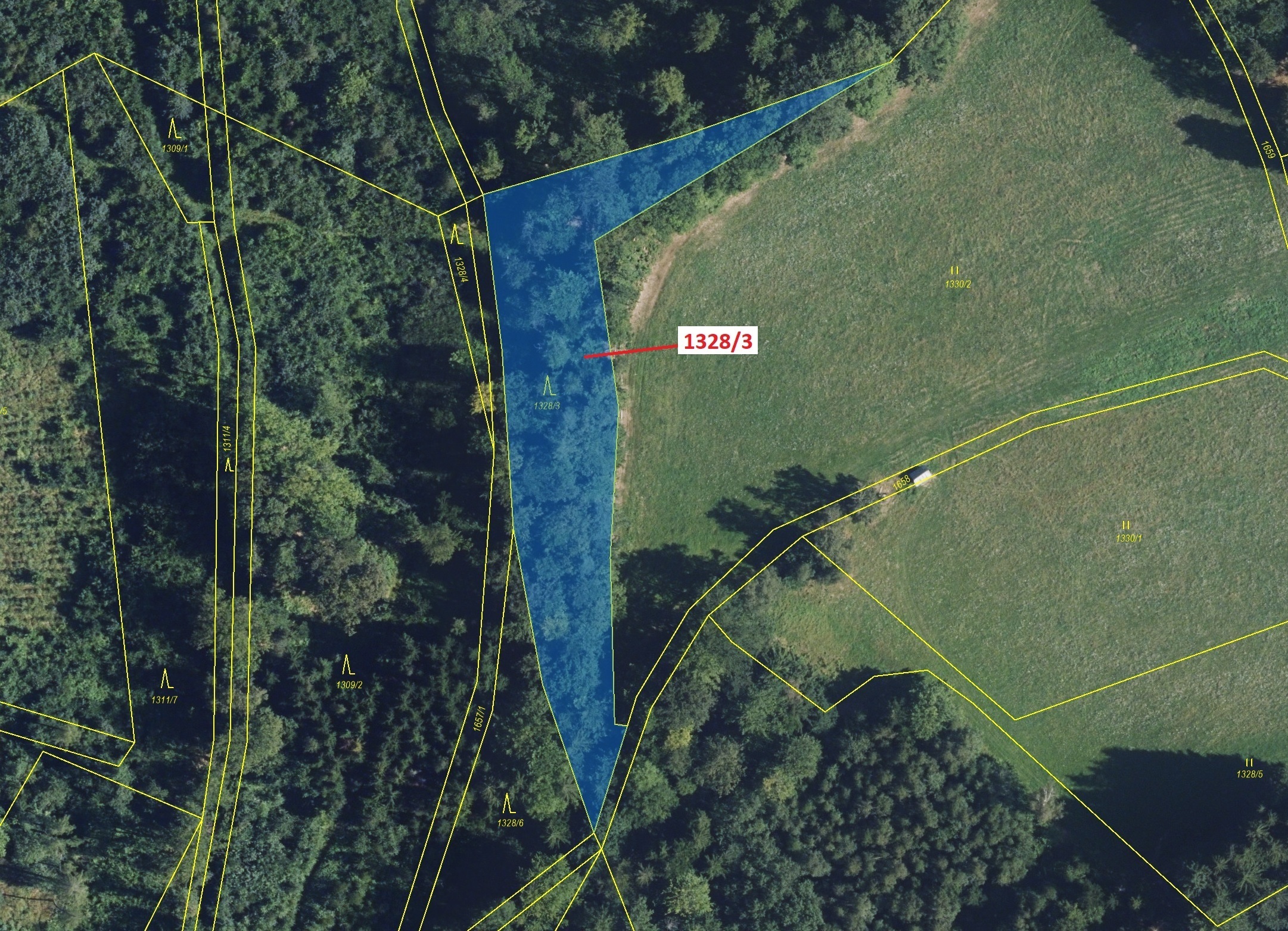 Lesní pozemek o výměře 3057 m2, podíl 1/1, katastrální území Kladky, obec Kladky, obec s rozšířenou 