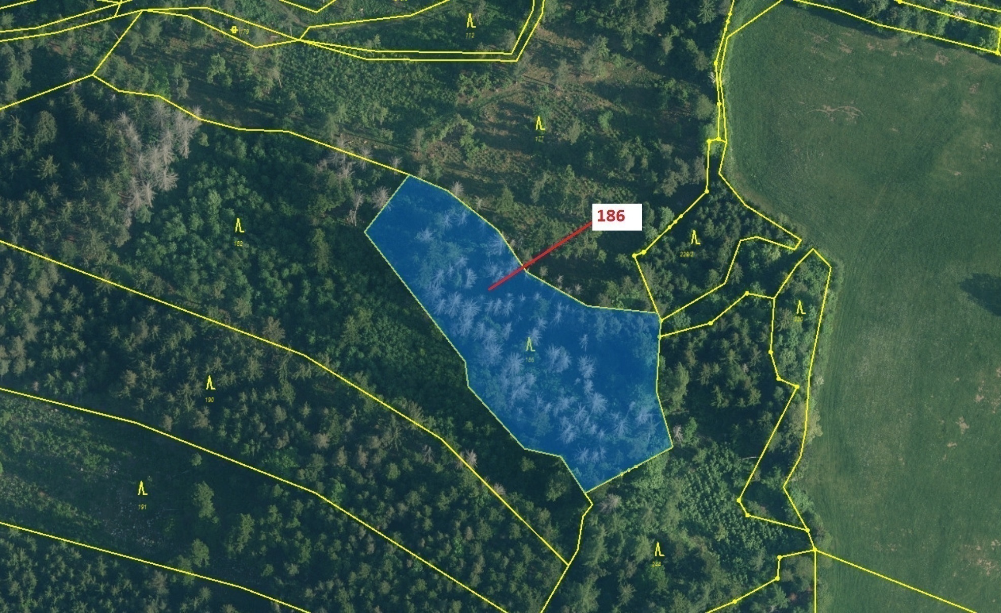 Lesní pozemek o výměře 4542 m2, podíl 1/1, katastrální území Setěchovice, obec Zálezly, obec s rozší