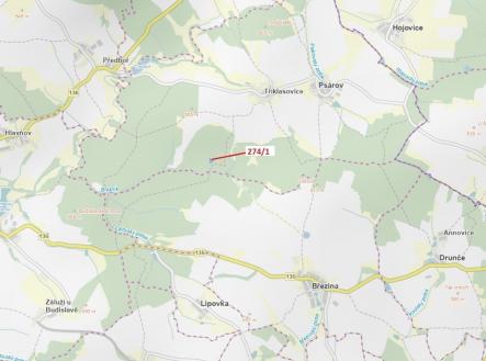 Prodej - pozemek, les, 2 949 m²