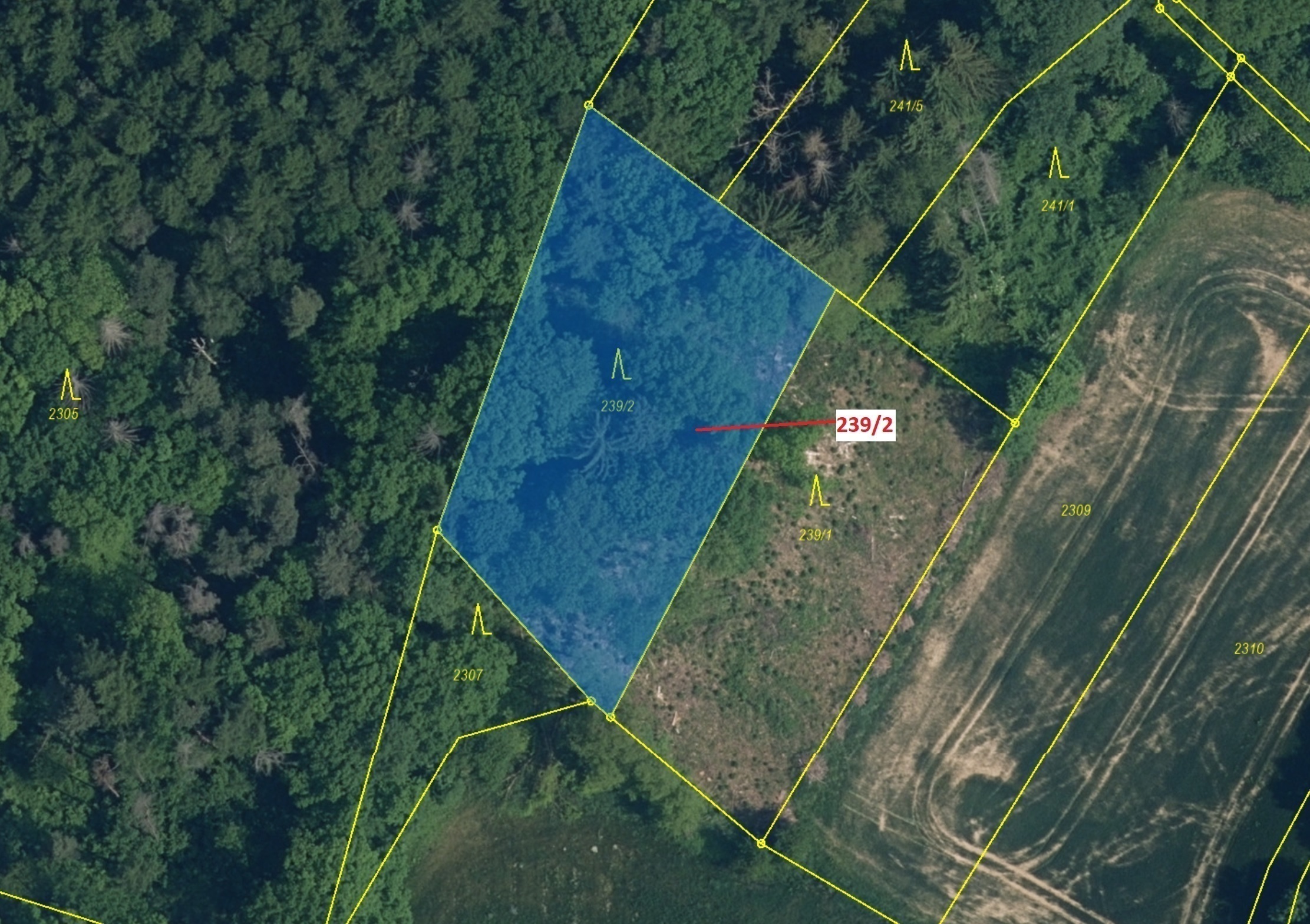 Lesní pozemek o výměře 2305 m2, podíl 1/1, katastrální území Jenišovice u Jablonce nad Nisou, obec J