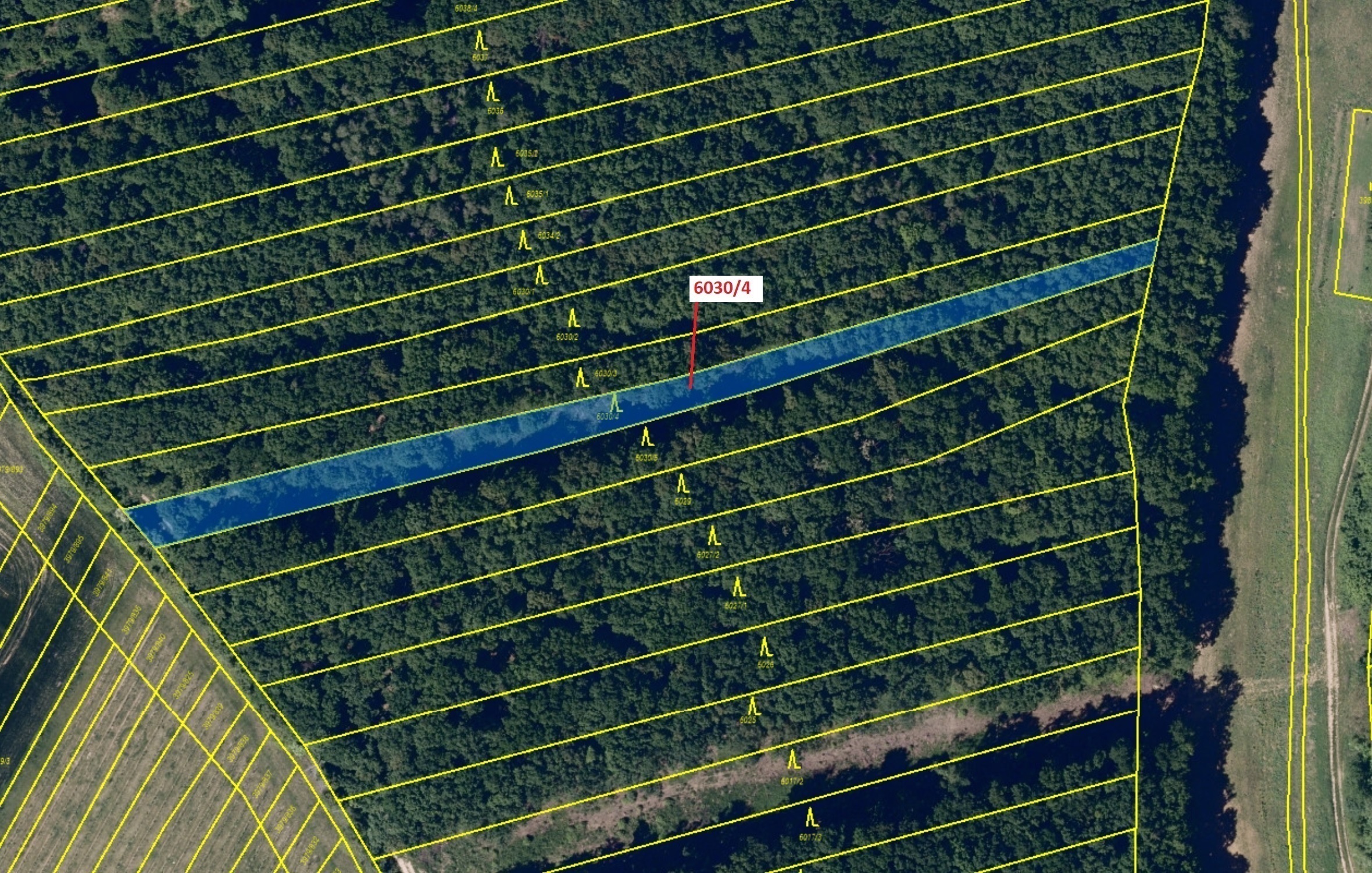 Lesní pozemek o výměře 2108 m2, podíl 1/1, katastrální území Archlebov, obec Archlebov, obec s rozší