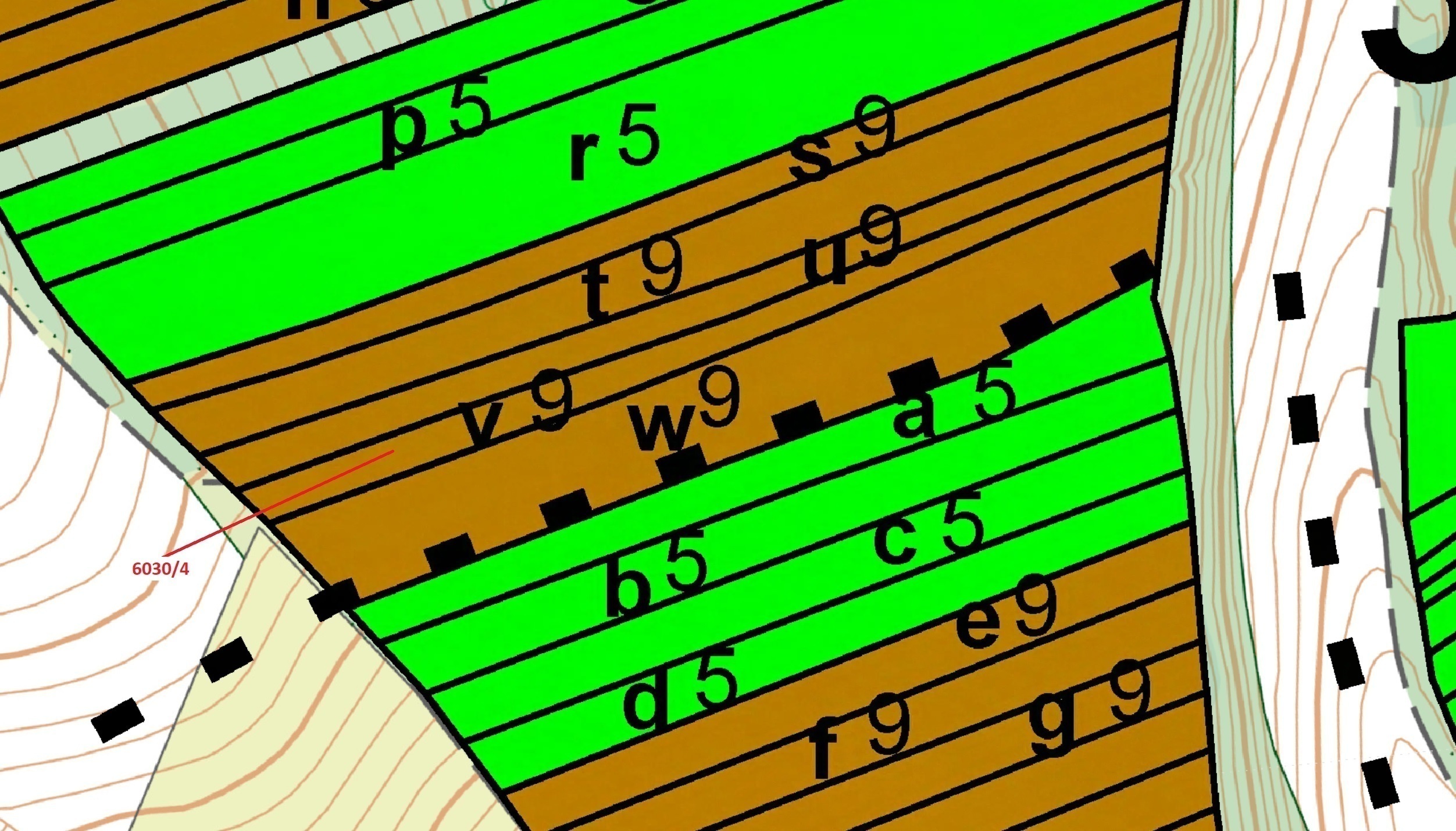 Lesní pozemek o výměře 2108 m2, podíl 1/1, katastrální území Archlebov, obec Archlebov, obec s rozší
