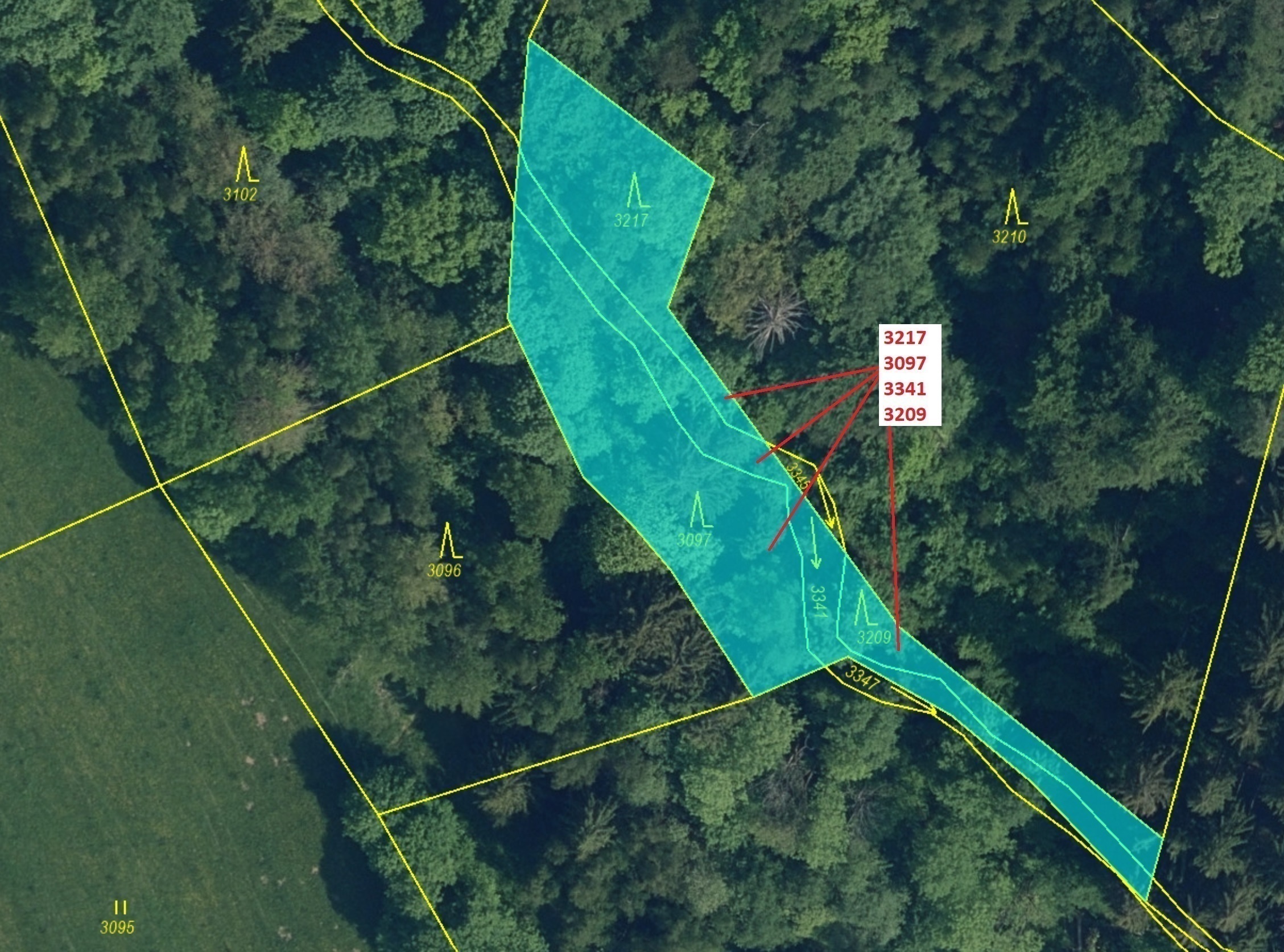 Lesní pozemky a vodní plocha o výměře 1649 m2, podíl 1/1, katastrální území Benešov u Semil, obec Be