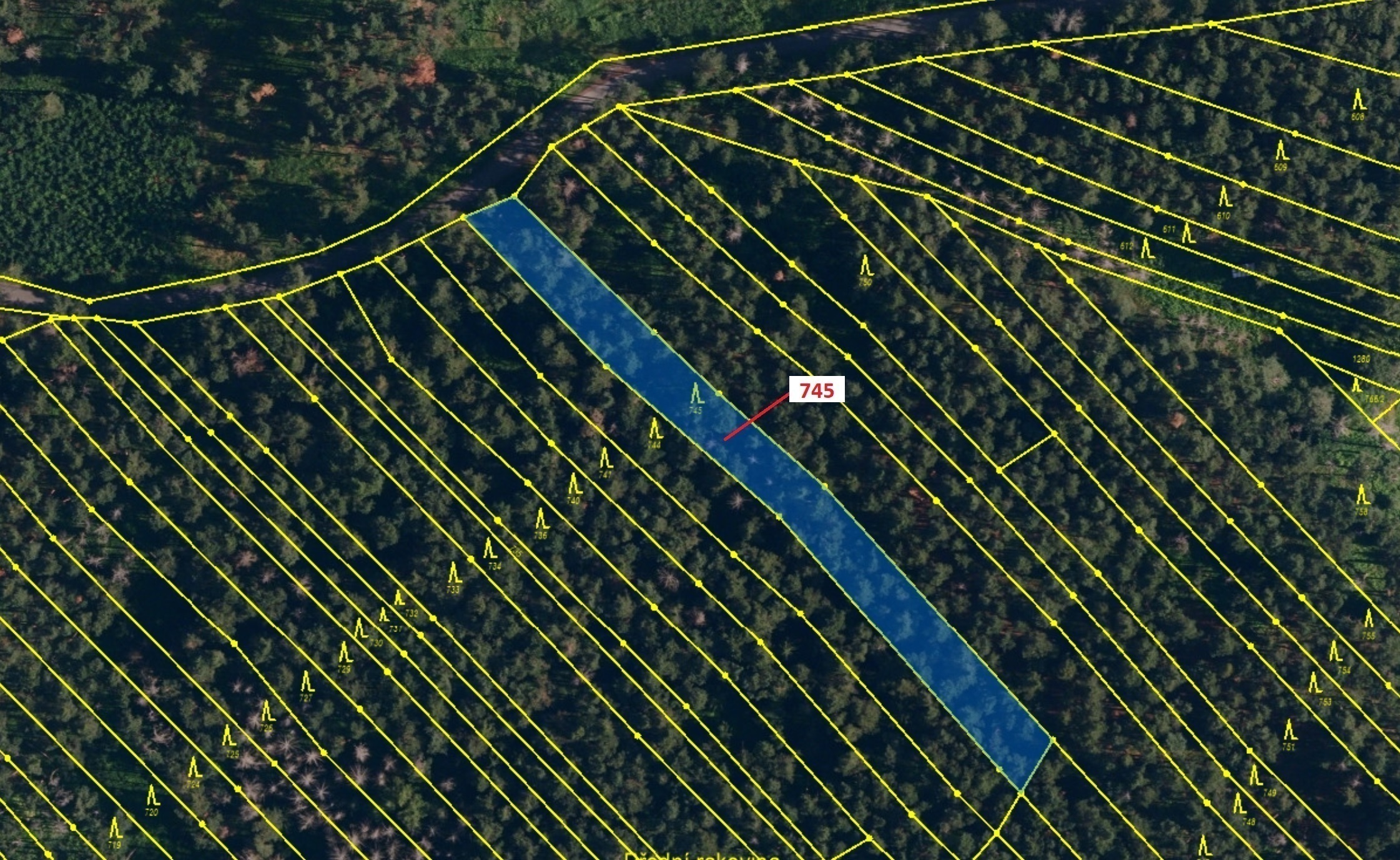 Lesní pozemek o výměře 1957 m2, podíl 1/1, katastrální území Dolní Vilémovice, obec Dolní Vilémovice