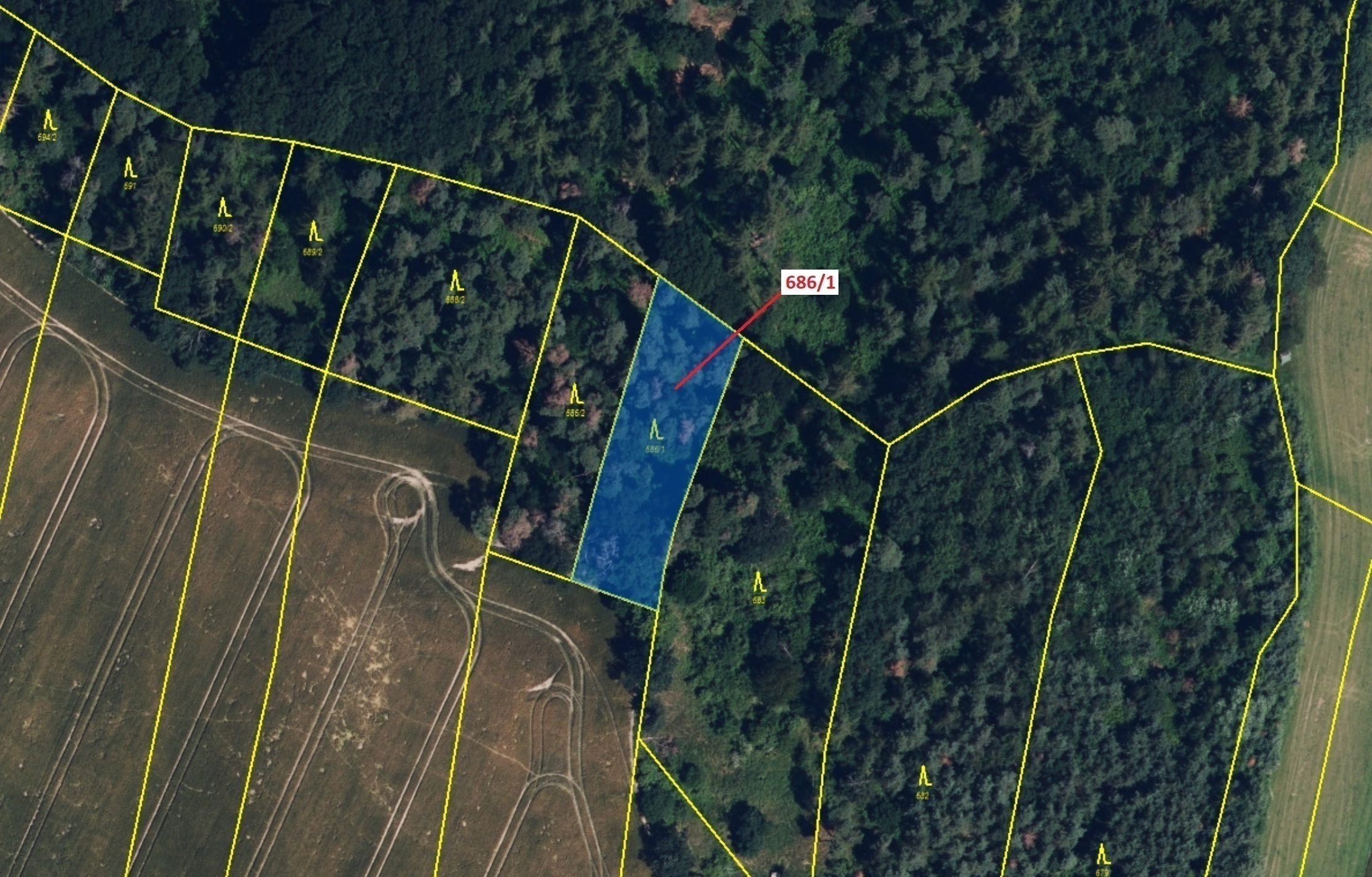 Lesní pozemek o výměře 1280 m2, podíl 1/1, katastrální území Přemyslovice, obec Přemyslovice, obec s