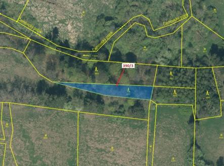 Prodej - pozemek, les, 1 011 m²