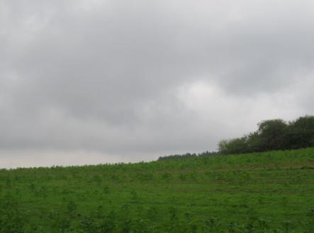 Prodej - pozemek, zemědělská půda, 26 214 m²