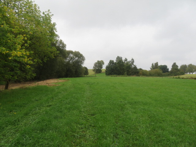 Pozemek o velikosti 26214m2, Týn nad Vltavou, podíl 1/6