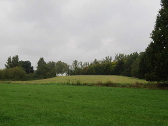 Pozemek o velikosti 26214m2, Týn nad Vltavou, podíl 1/6