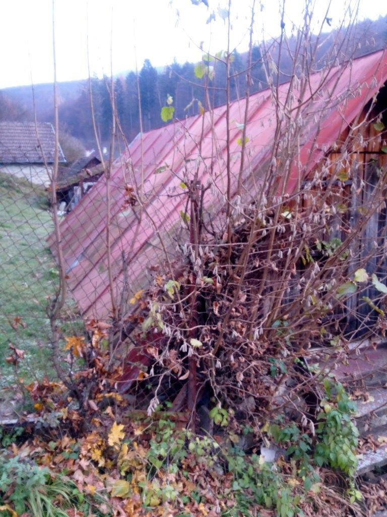 E-veřejná soutež nebytového prostoru, kat. území Sidonie