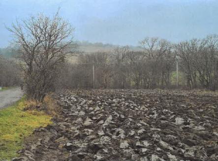 Prodej - pozemek pro komerční výstavbu, 3 231 m²