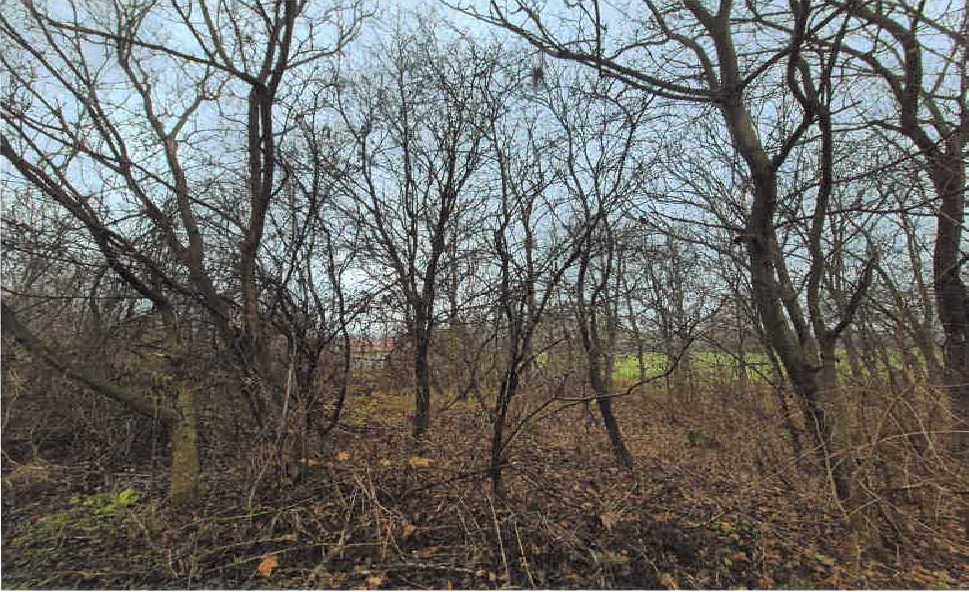 id. 1/2 pozemku určeného k výrobě a skladování + přírodní plocha