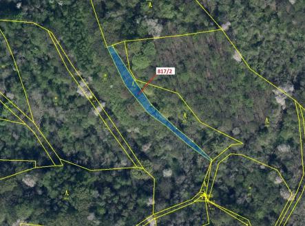 Prodej - pozemek, les, 815 m²