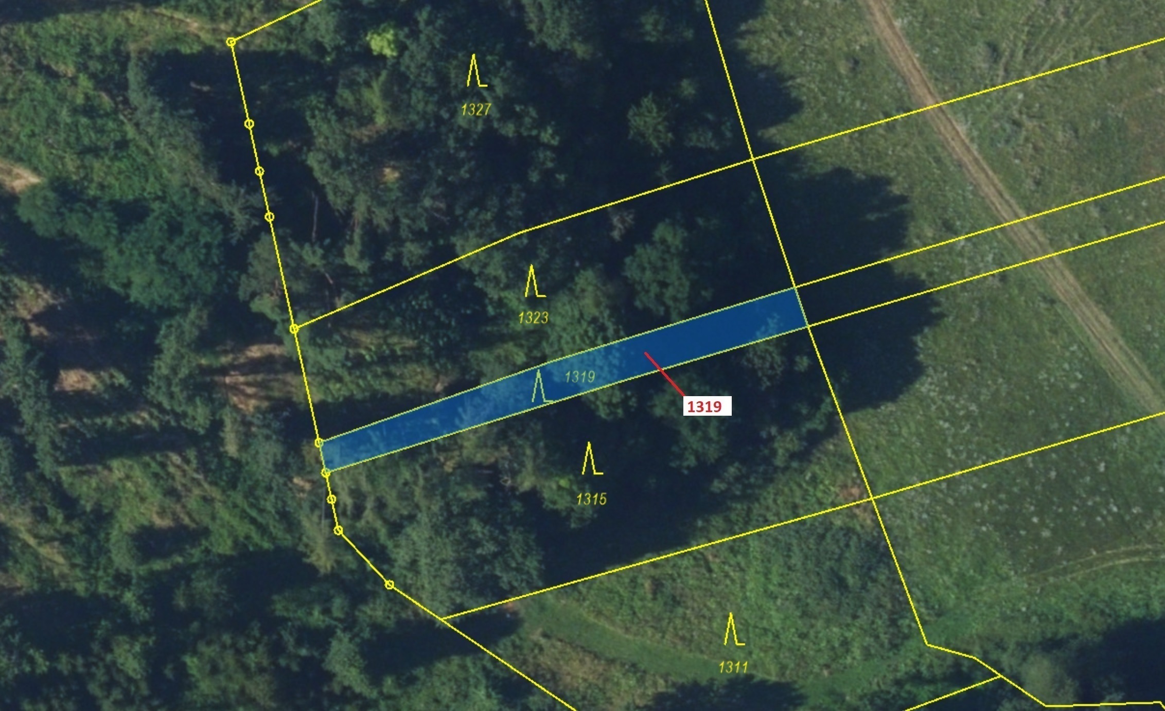 Lesní pozemek o výměře 316 m2, podíl 1/1, katastrální území Spešov, obec Spešov, obec s rozšířenou p