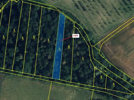 Prodej - pozemek, les, 1 221 m²