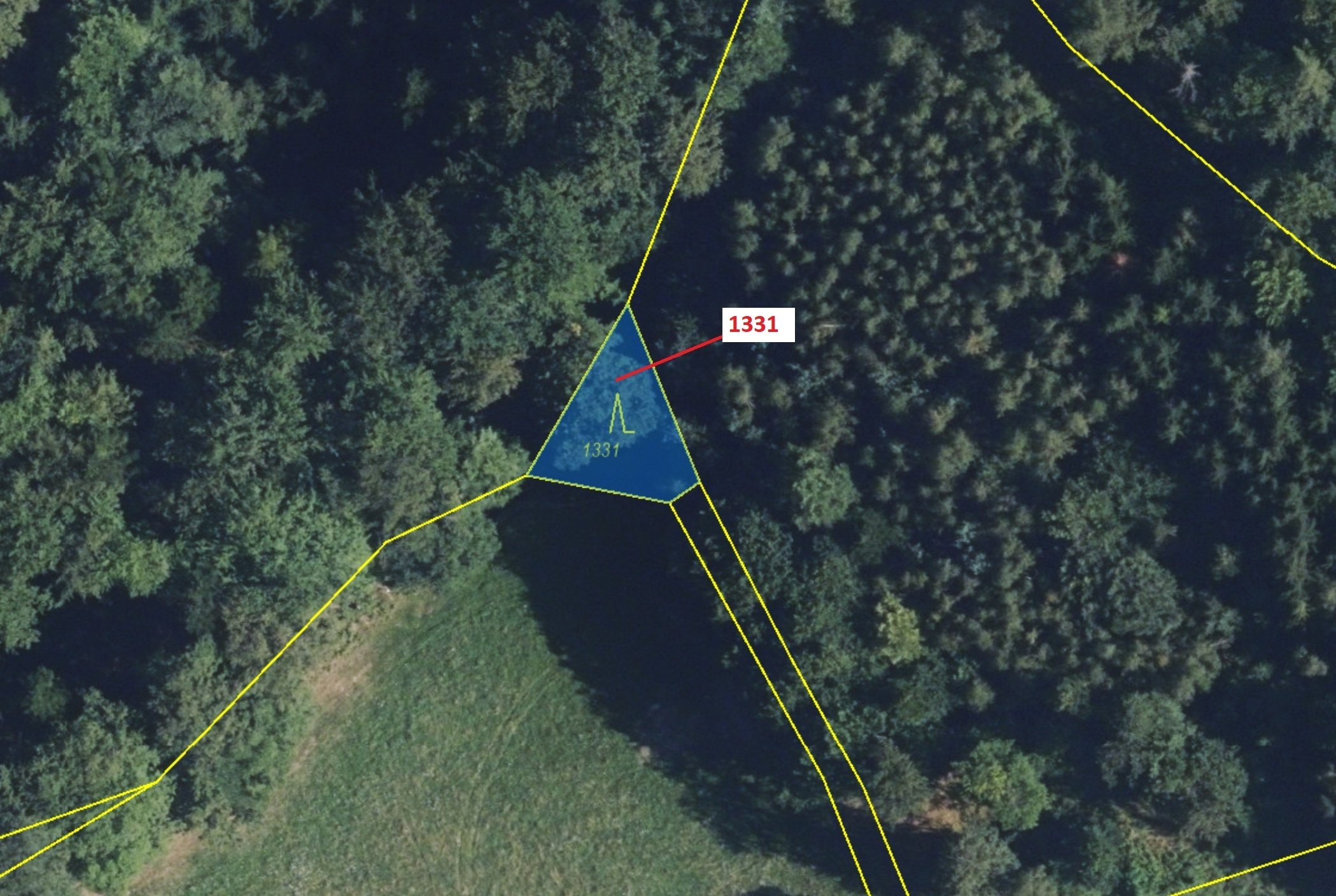 Lesní pozemek o výměře 183 m2, podíl 1/1, katastrální území Kladky, obec Kladky, obec s rozšířenou p