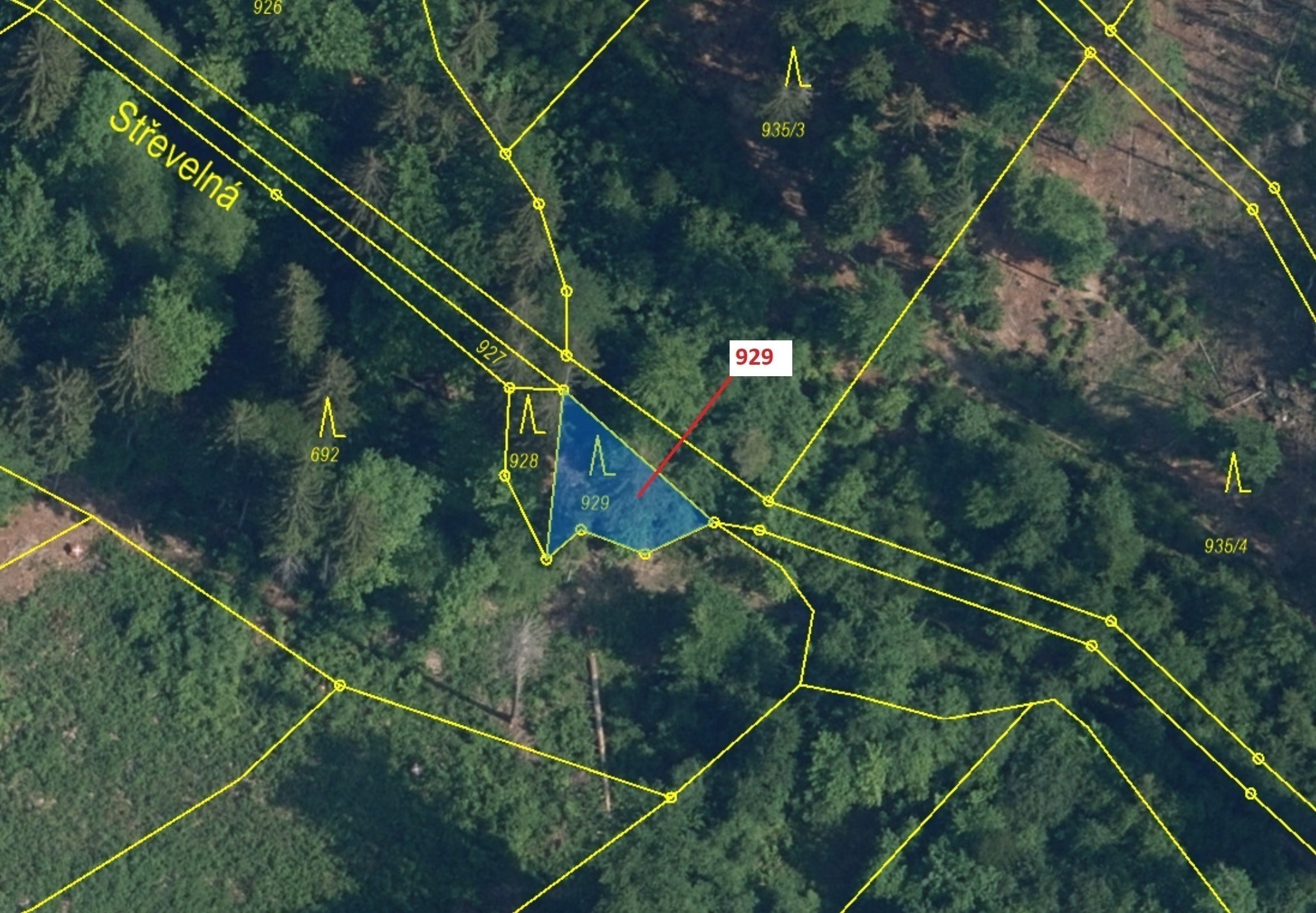 Lesní pozemek o výměře 151 m2, podíl 1/1, katastrální území Jílové u Držkova, obec Jílové u Držkova,