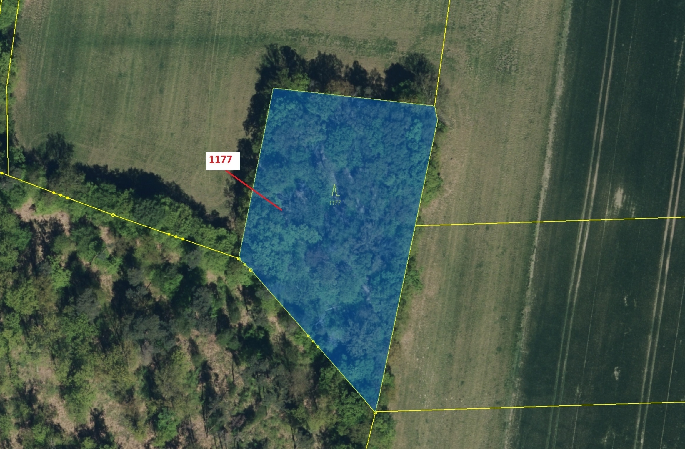 Lesní pozemek o výměře 4658 m2, podíl 1/1, katastrální území Vlčí Habřina, obec Vlčí Habřina, obec s