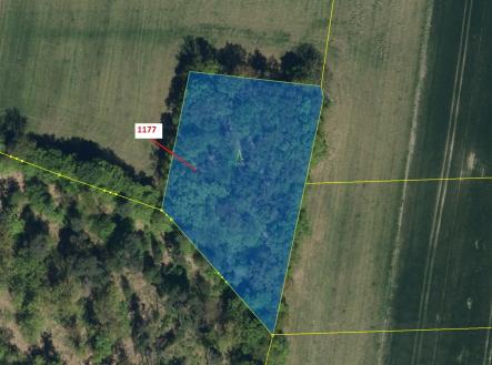 Prodej - pozemek, les, 4 658 m²