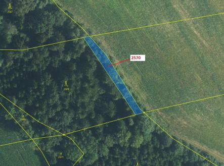 Prodej - pozemek, les, 447 m²