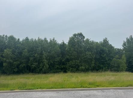 Prodej - pozemek pro bydlení, 1 251 m²