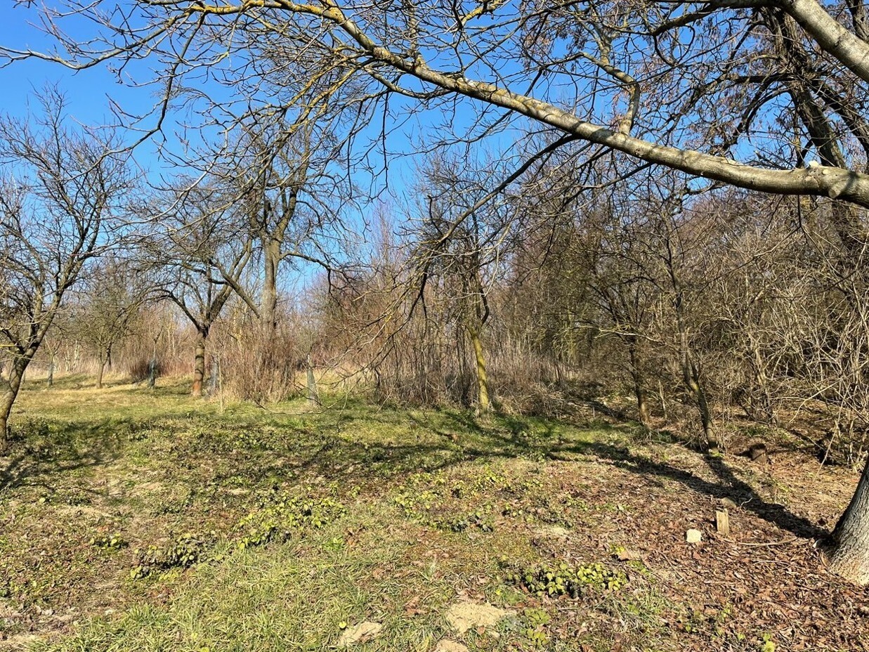 Stavební pozemek o velikosti 1821m2, Jestřabice